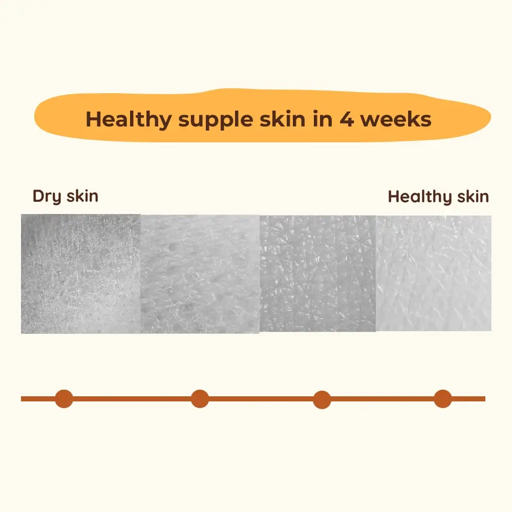 Wood-Pressed Sweet Almond Oil For Babies | Organic & 100% Pure | Healthy & Glowy Baby Skin | 0+ m - Image 5